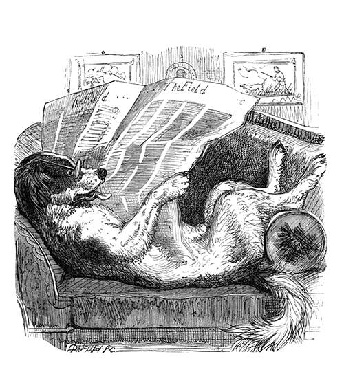 Picture of a dog reading a
newspaper