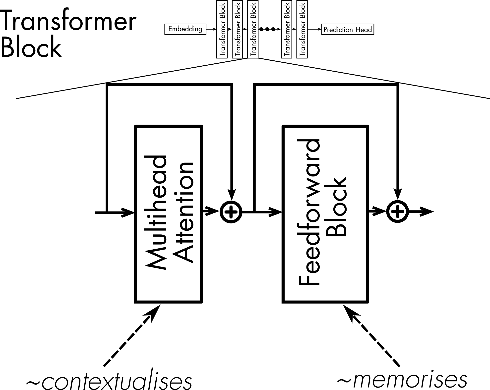 expanded transformer block transformer block expanded